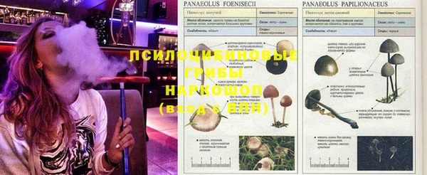 тгк Краснослободск