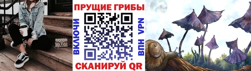 Псилоцибиновые грибы прущие грибы  даркнет наркотические препараты  Козельск 